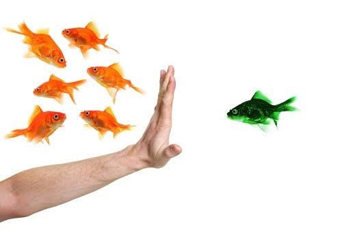 Discrimination, Harassment & Victimisation training course